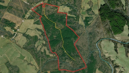 Land of Opportunities: 138 Acres in Stonewall, Concord, VA - image 1