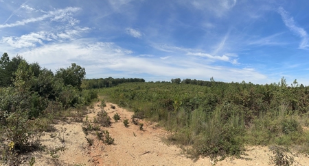 Land of Opportunities: 138 Acres in Stonewall, Concord, VA - image 11