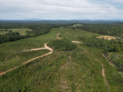 Land of Opportunities: 138 Acres in Stonewall, Concord, VA - image 26