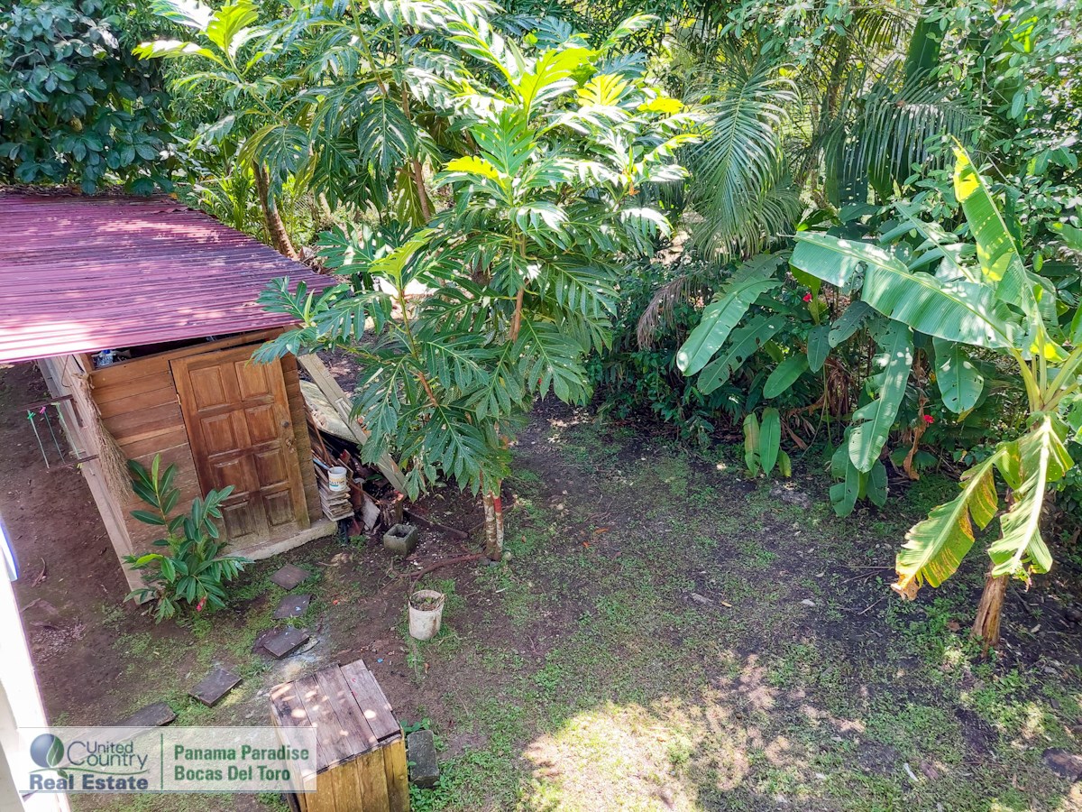 Titre: Maison avec B&B — Big Creek, Isla Colón - 43