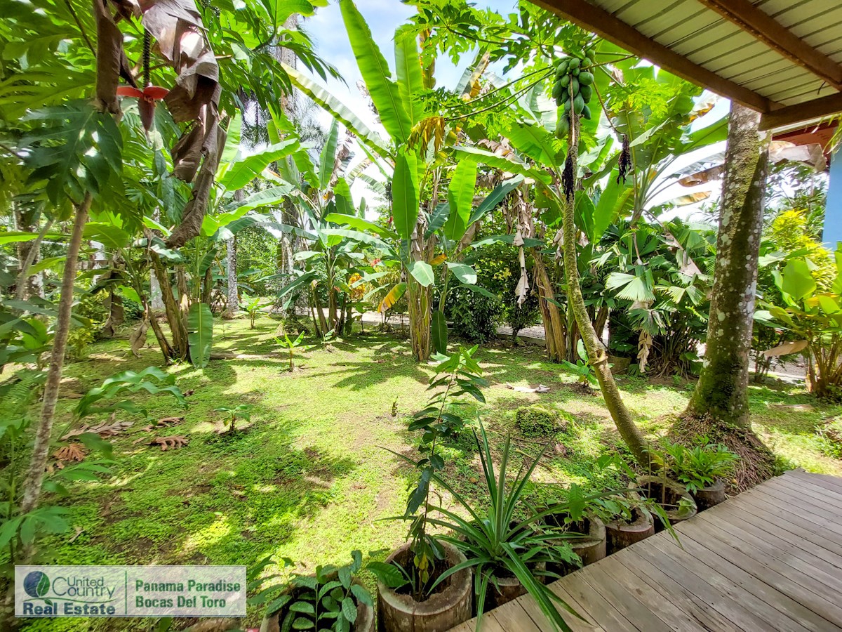 Titre : Maison avec B&B — Big Creek, Isla Colón - 33