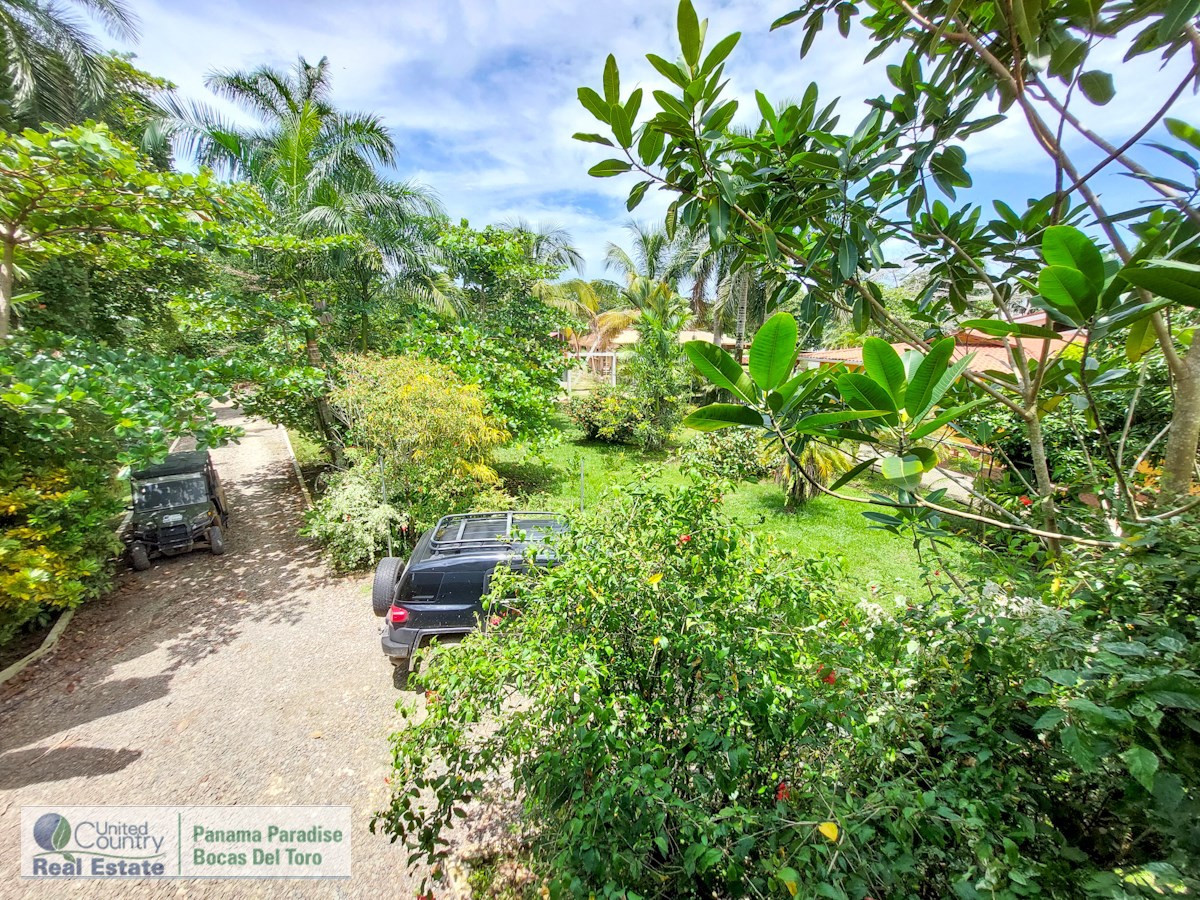 Titre Maison avec B&B — Big Creek, Isla Colón - 4