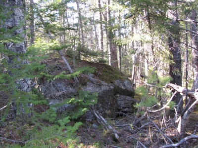 Cabin In The Woods Of Maine - image 18