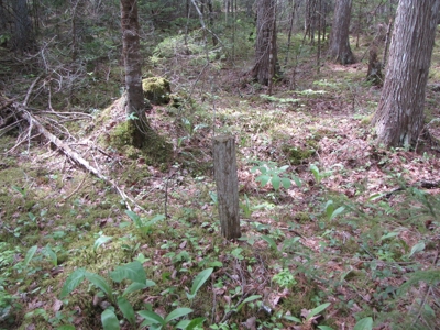 Cabin In The Woods Of Maine - image 25