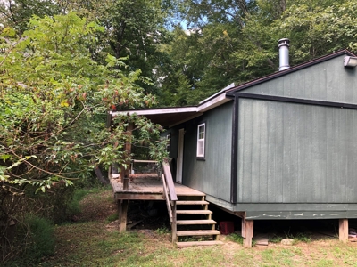 Scioto County Primitive Hunting Cabin - image 9