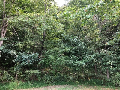 Scioto County Primitive Hunting Cabin - image 10