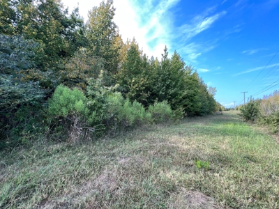53.18 Acres For Sale in Searcy, Arkansas - image 14