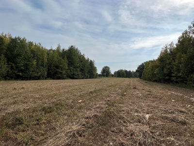 53.18 Acres For Sale in Searcy, Arkansas - image 12