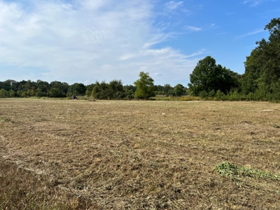 53.18 Acres For Sale in Searcy, Arkansas - image 15