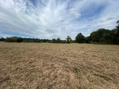 53.18 Acres For Sale in Searcy, Arkansas - image 20