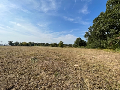 53.18 Acres For Sale in Searcy, Arkansas - image 4