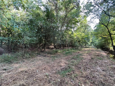53.18 Acres For Sale in Searcy, Arkansas - image 11