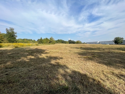 53.18 Acres For Sale in Searcy, Arkansas - image 9