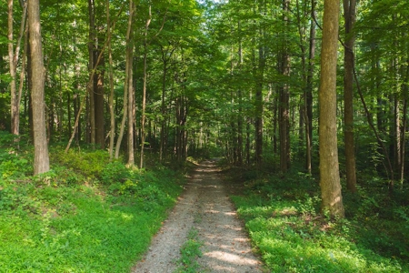 Secluded Mountain Retreat for Sale in Stuart VA - image 10