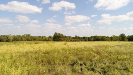 Top-Notch Hunting Farm with Good Income Scotland County MO! - image 2