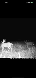 Top-Notch Hunting Farm with Good Income Scotland County MO! - image 41