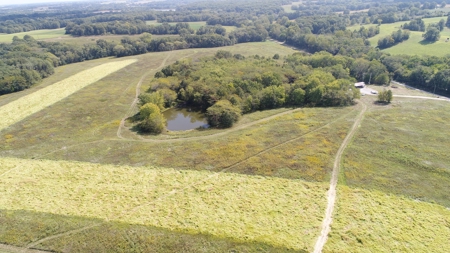 Top-Notch Hunting Farm with Good Income Scotland County MO! - image 7