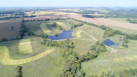Top-Notch Hunting Farm with Good Income Scotland County MO! - image 19