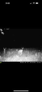 Top-Notch Hunting Farm with Good Income Scotland County MO! - image 44