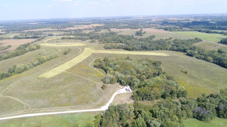 Top-Notch Hunting Farm with Good Income Scotland County MO! - image 10