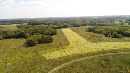 Top-Notch Hunting Farm with Good Income Scotland County MO! - image 4