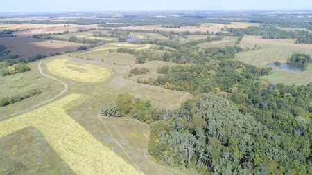 Top-Notch Hunting Farm with Good Income Scotland County MO! - image 14