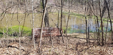 240 Keefer Road Corinth Ky. 41010 69 acres 2 homes, barn - image 20