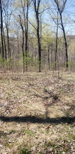 240 Keefer Road Corinth Ky. 41010 69 acres 2 homes, barn - image 17