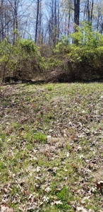 240 Keefer Road Corinth Ky. 41010 69 acres 2 homes, barn - image 23
