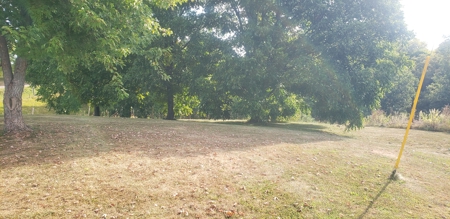 240 Keefer Road Corinth Ky. 41010 69 acres 2 homes, barn - image 27
