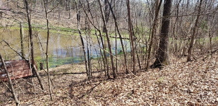 240 Keefer Road Corinth Ky. 41010 69 acres 2 homes, barn - image 22