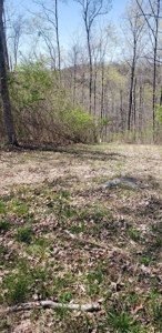 240 Keefer Road Corinth Ky. 41010 69 acres 2 homes, barn - image 16