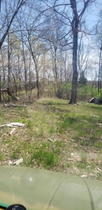 240 Keefer Road Corinth Ky. 41010 69 acres 2 homes, barn - image 18