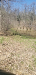 240 Keefer Road Corinth Ky. 41010 69 acres 2 homes, barn - image 24