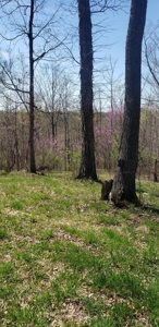 240 Keefer Road Corinth Ky. 41010 69 acres 2 homes, barn - image 19