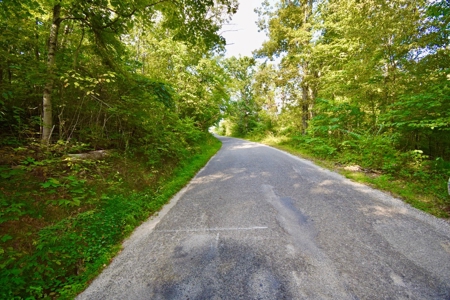 Crawford County Land for Sale - image 1