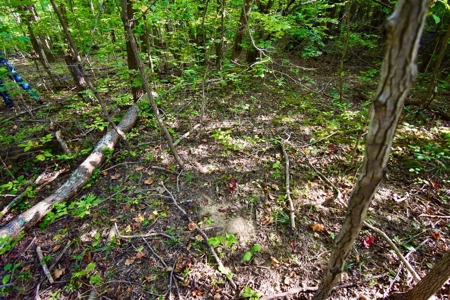 Crawford County Land for Sale - image 8
