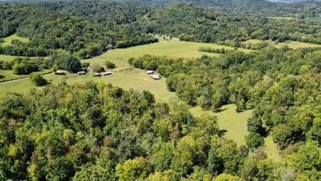 Farm For Sale In Tn, Barn,Springs,Shop, Log Cabin, Hunting - image 30
