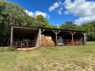 Farm For Sale In Tn, Barn,Springs,Shop, Log Cabin, Hunting - image 28