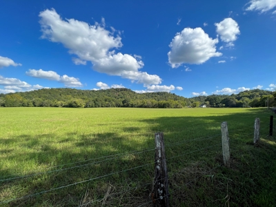 Farm For Sale In Tn, Barn,Springs,Shop, Log Cabin, Hunting - image 40