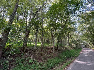 Farm For Sale In Tn, Barn,Springs,Shop, Log Cabin, Hunting - image 39