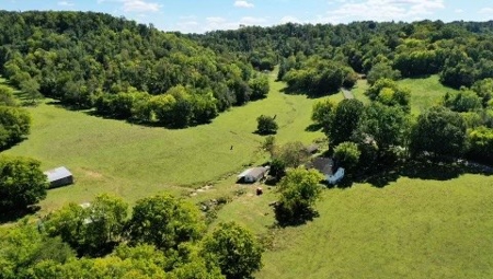 Farm For Sale In Tn, Barn,Springs,Shop, Log Cabin, Hunting - image 29