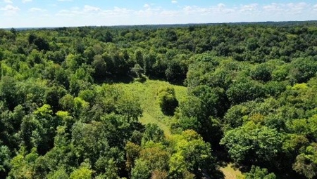 Farm For Sale In Tn, Barn,Springs,Shop, Log Cabin, Hunting - image 31
