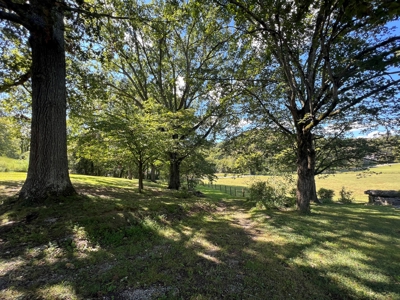 Farm For Sale In Tn, Barn,Springs,Shop, Log Cabin, Hunting - image 5