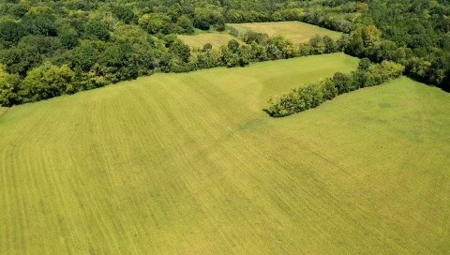 Farm For Sale In Tn, Barn,Springs,Shop, Log Cabin, Hunting - image 35