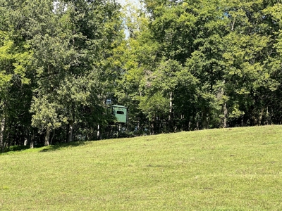 Farm For Sale In Tn, Barn,Springs,Shop, Log Cabin, Hunting - image 38