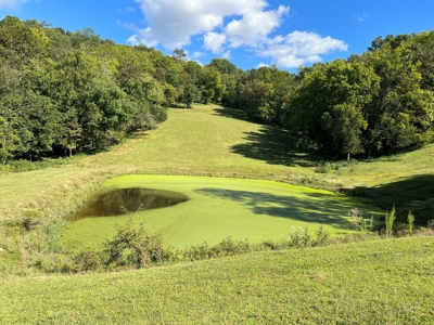Farm For Sale In Tn, Barn,Springs,Shop, Log Cabin, Hunting - image 34
