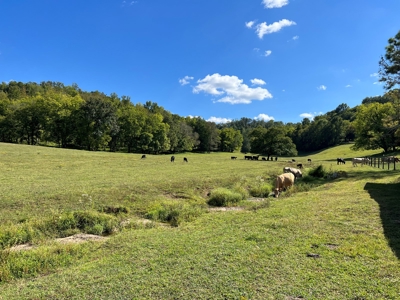 Farm For Sale In Tn, Barn,Springs,Shop, Log Cabin, Hunting - image 33