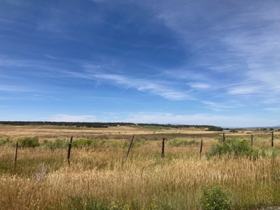 Irrigated Farm Land For Sale In Norwood, Colorado - image 12