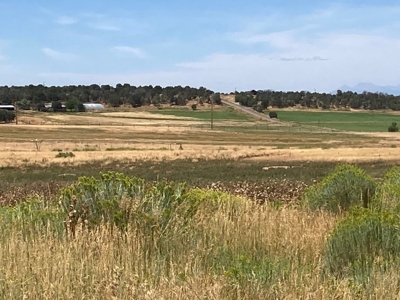 Irrigated Farm Land For Sale In Norwood, Colorado - image 2